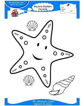 Çocuklar İçin Deniz Yıldızı Boyama Sayfaları 